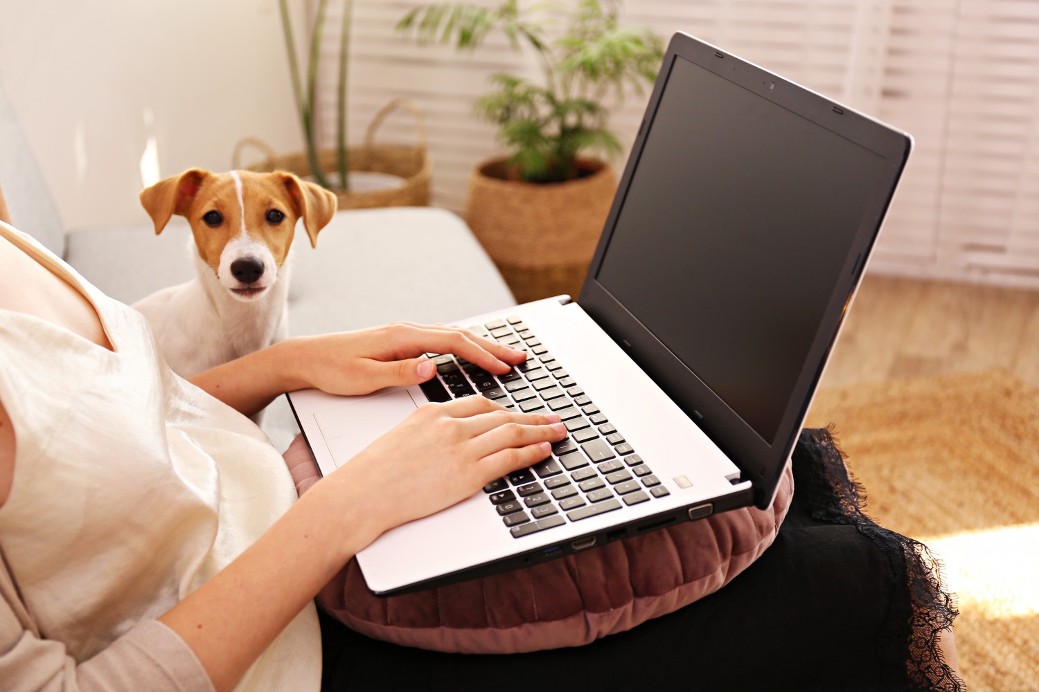 Dog by laptop
