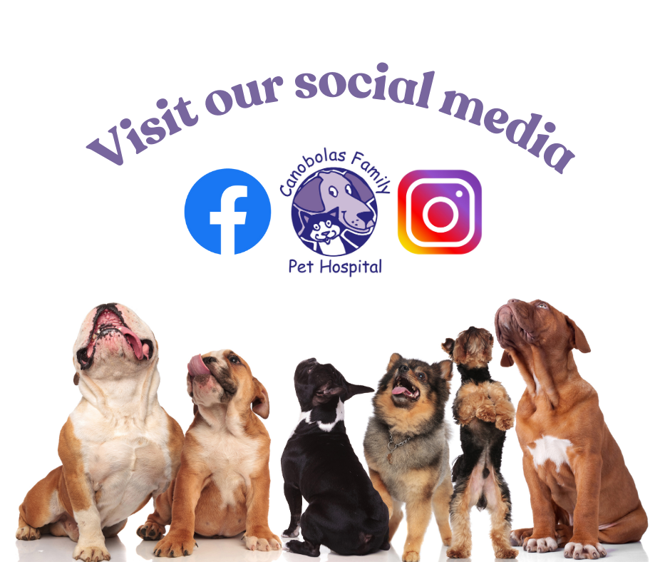 Vist our social media